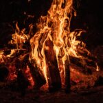 張本勲の名言が教える不屈の哲学！厳しさの裏にあった魂の言葉