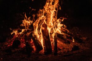 張本勲の名言が教える不屈の哲学！厳しさの裏にあった魂の言葉